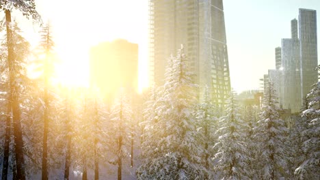 sity-and-forest-in-snow-at-sunrise
